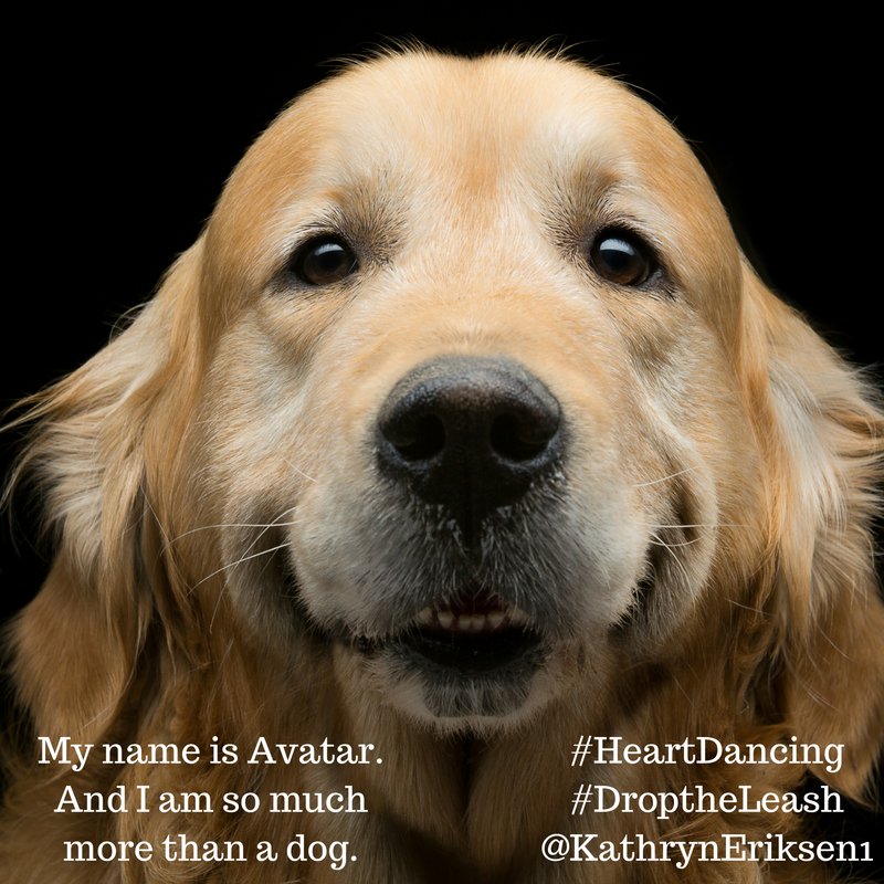 KathrynEriksen1's tweet photo. My name is Avatar and I'm so much more than a dog. #DroptheLeash #StoryAlchemist #HeartDancing https://t.co/B6d5iNAYky