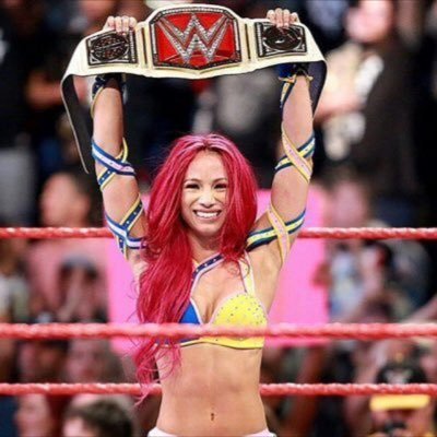 At HIAC, in my hometown, I will walk in and out as champ. No matter if I win or lose that match, I am THE BOSS And you can BANK ON THAT.