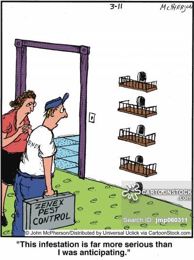 LegacyPestUT's tweet image. Don&apos;t let the infestation get out of hand. CALL 801-779-3131 NOW! #pestcontrol #pesthumor