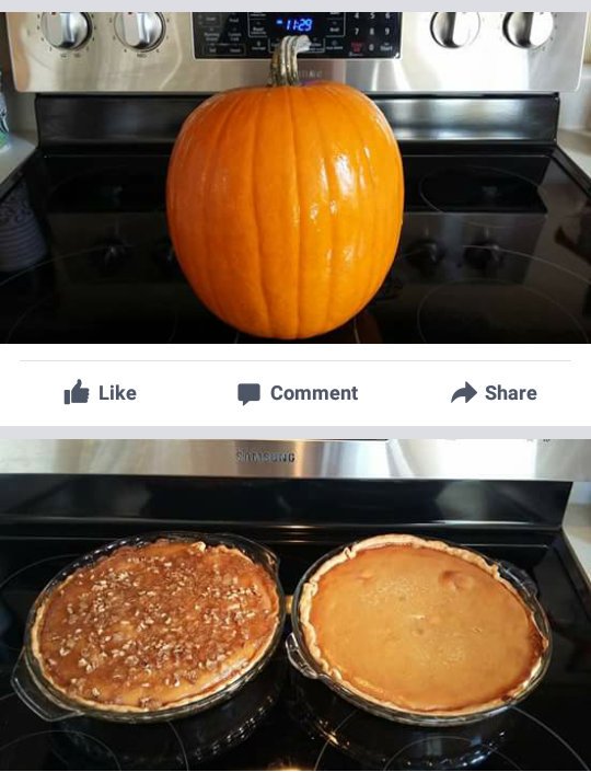 Who Knew? 
 Pumpkin doesn't really come from a can.
Before and after