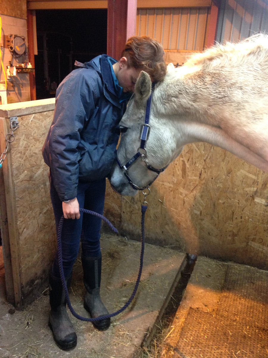 equine_advisor's tweet photo. The true bond between #horse and owner. Fergus enjoying his #EquineTouch session tonight. #HorseHour #EquineHour #riderhour #equestrianhour https://t.co/8cCkUhx0QE