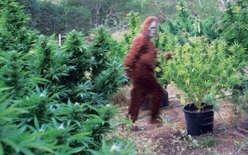 Sheva____'s tweet image. Когда сваливаешь с последнего урока