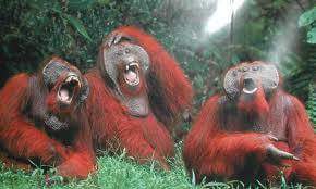 tryceankrom's tweet image. @TheFive #MakeCommonSenseCommonAgain