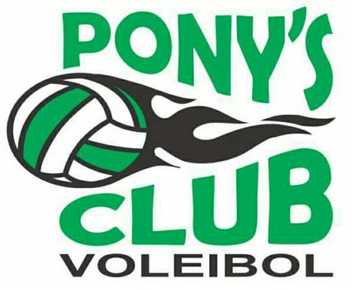 Gazu_cliente's tweet photo. Gazu Voleibol, Club Potros Sabaneta y Pony's Club patrocinadores de #FestinalVoley https://t.co/OddsRXYLnX