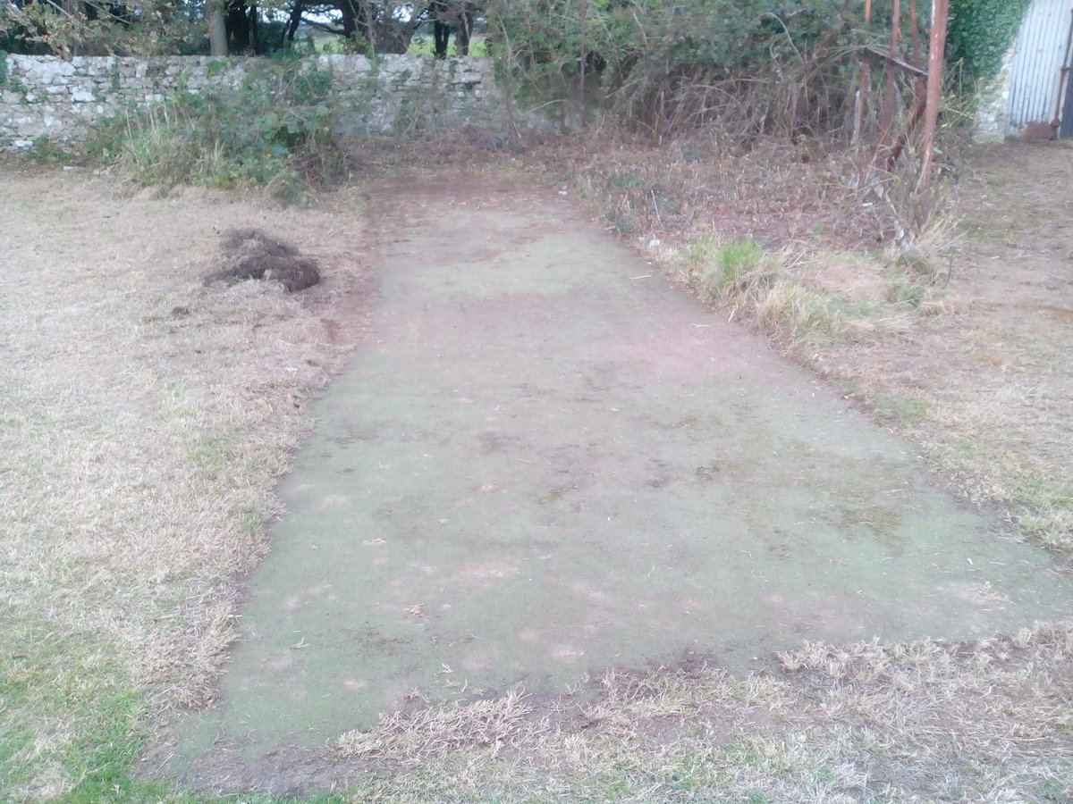 Great Western tweet media