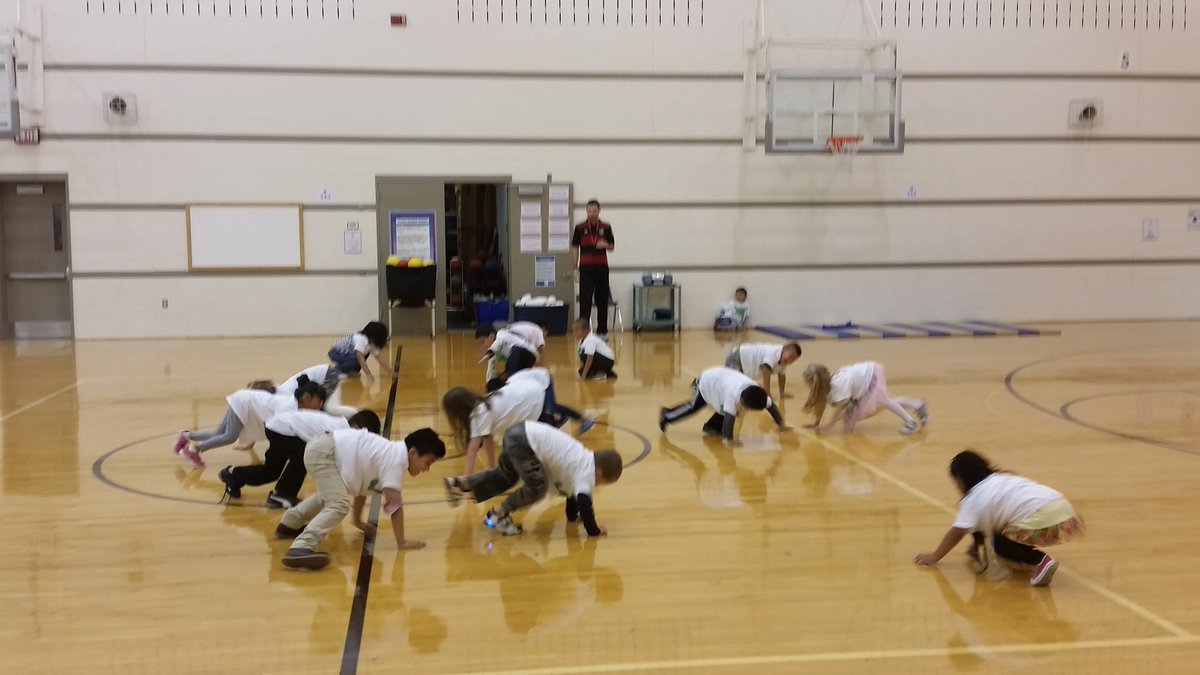 OPS PHYS. ED. tweet media