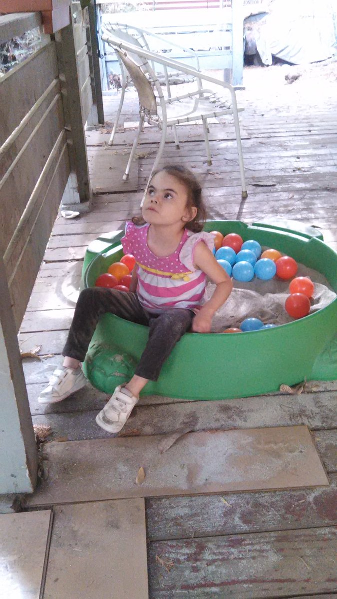 bunnybrazell's tweet photo. Enjoying some sand time #athena #AutismAwareness https://t.co/lrYO7HONq3