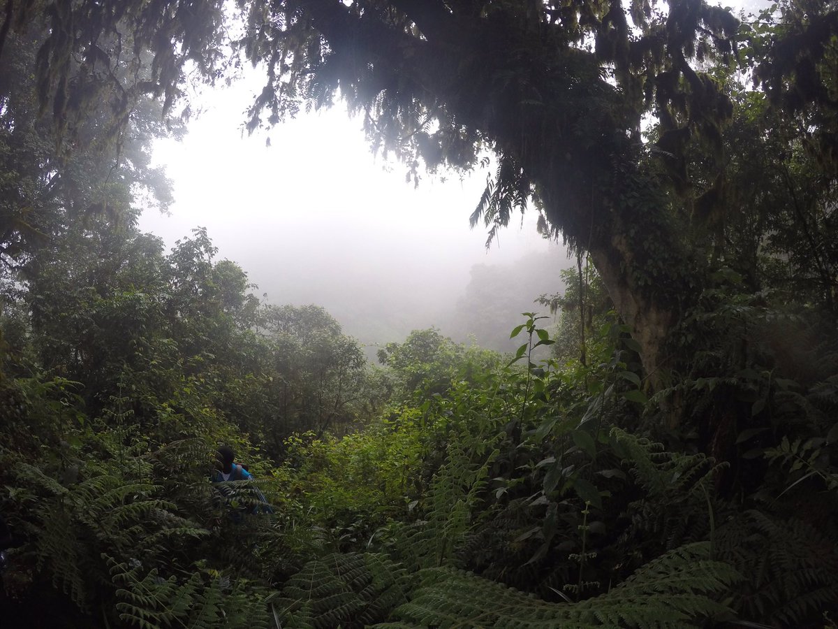 RanaaSabry's tweet photo. Craving the Wilderness #Kenya https://t.co/vPE3aM3XLf