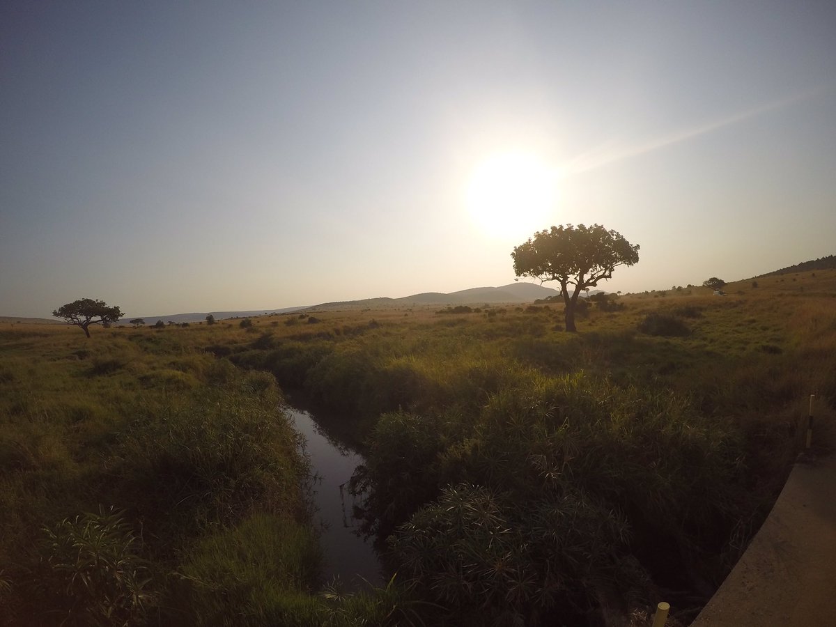 RanaaSabry's tweet photo. Craving the Wilderness #Kenya https://t.co/vPE3aM3XLf
