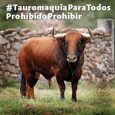 Unamonos en una sola voz! #TauromaquiaParaTodosProhibidoProhibir