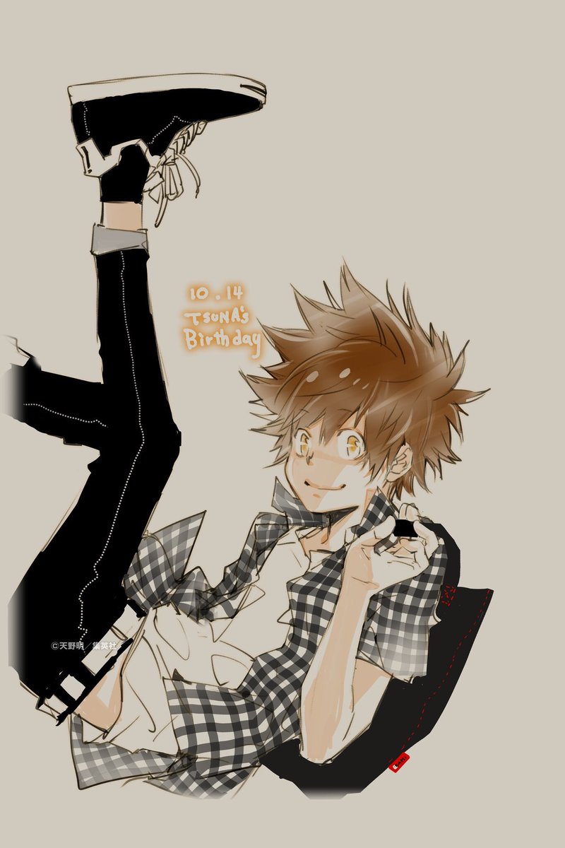 沢田綱吉好きな人rt