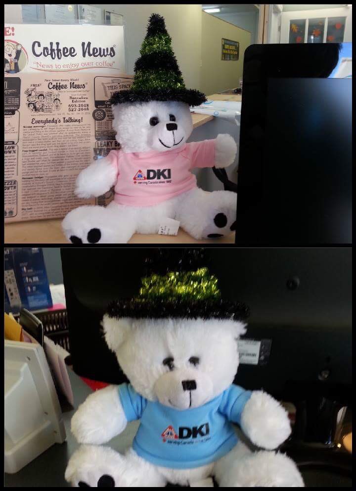 DKI Bears are ready for Halloween @DKICanada <a href="/WhitterShannon/">Shannon Whitter</a>