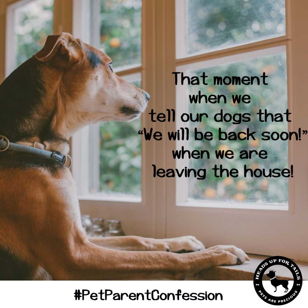 HUFT_India's tweet photo. That kiss on their nose before we leave for work & tell them that w'll be back soon.#PetParentConfession #dogsofHUFT
What's your confession? https://t.co/jKnIp3PgKQ