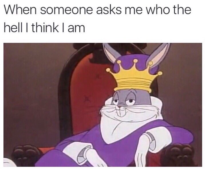 iTom666's tweet photo. 👑 https://t.co/0cPWYBLKbj