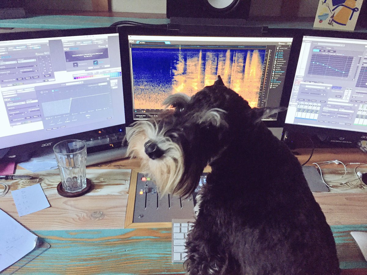 pbawiec's tweet photo. If the clicker means food... then what's this de-clicker? @iZotopeInc #SoundDesign https://t.co/rt7WcTVXAz