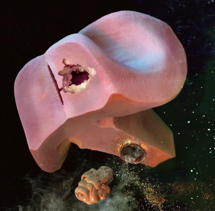 We Eat Art tweet media