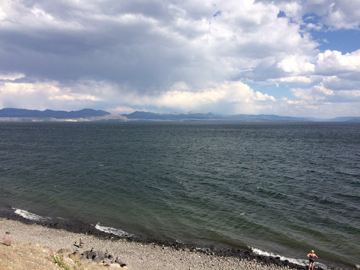 almostdeadacc's tweet image. 