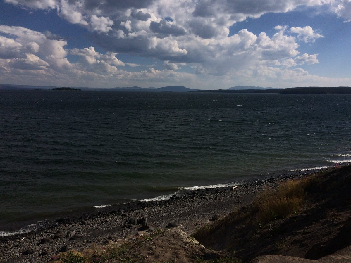 almostdeadacc's tweet image. 