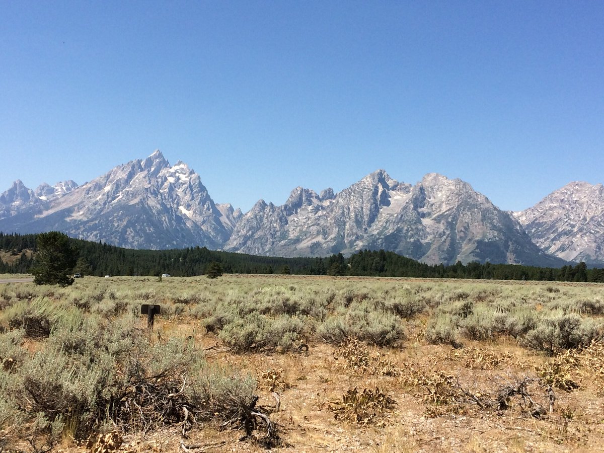 almostdeadacc's tweet image. 