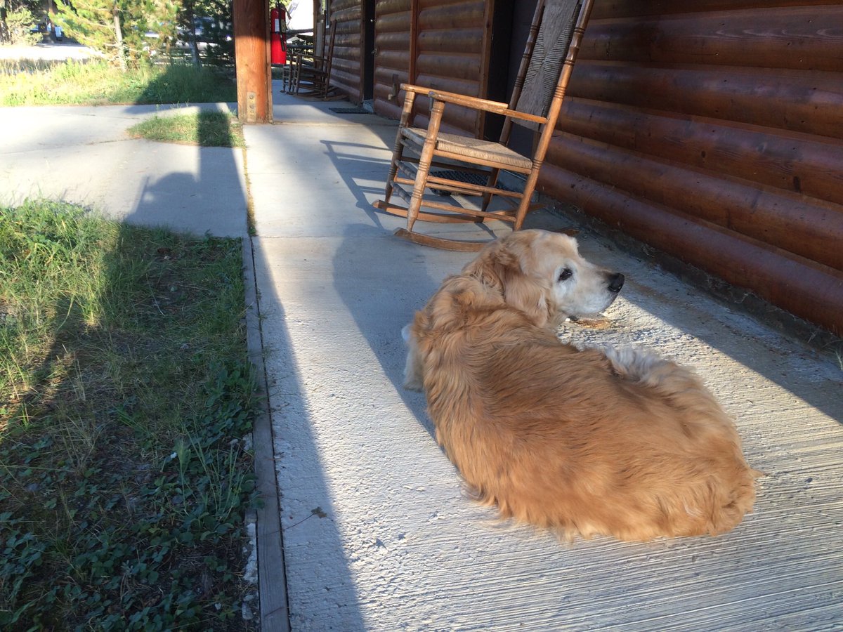 almostdeadacc's tweet image. 