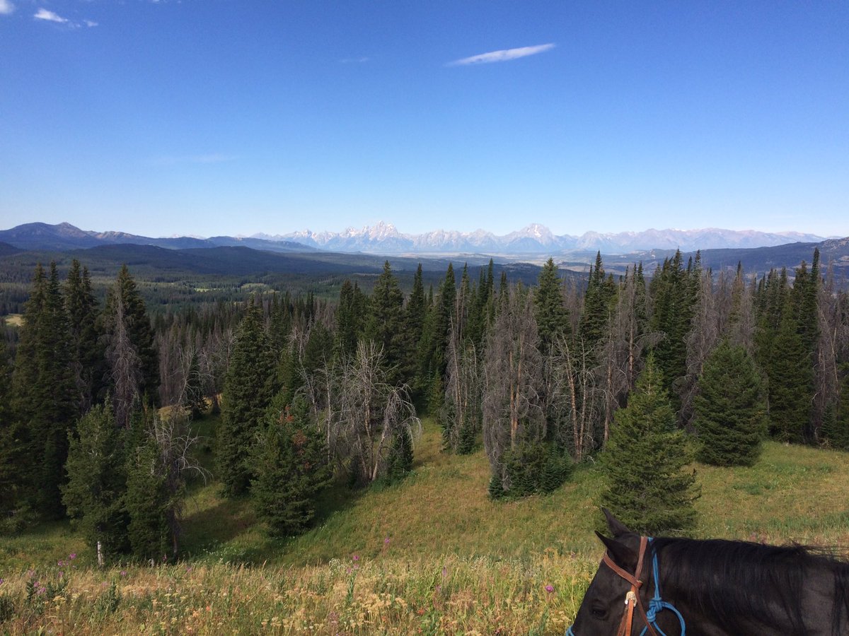 almostdeadacc's tweet image. 