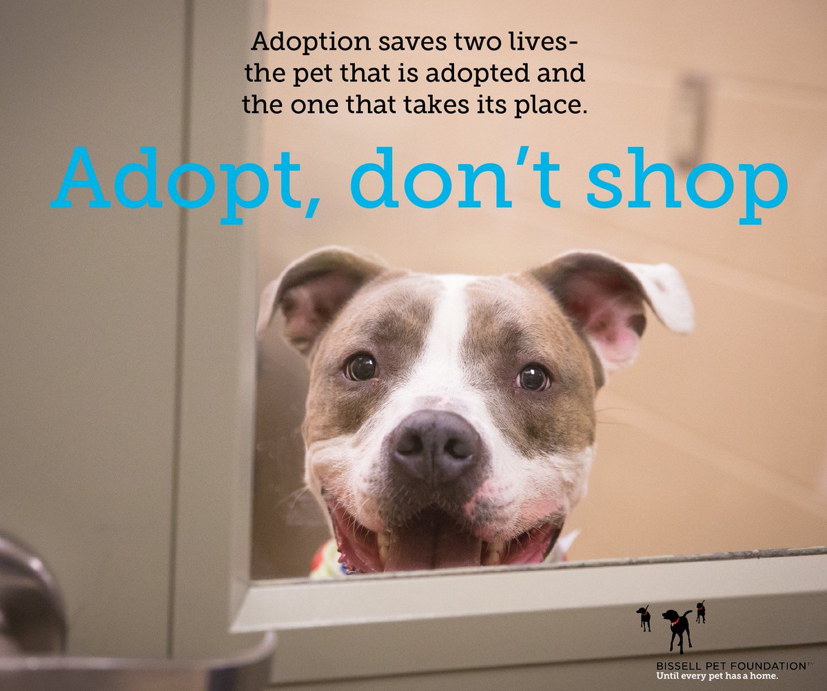 <a href="/BISSELLPets/">BISSELL Pet Foundation 🐶🐱</a> will be emptying the shelters on October 22 and it is the perfect chance to adopt and save a life. bissellpetfoundation.org