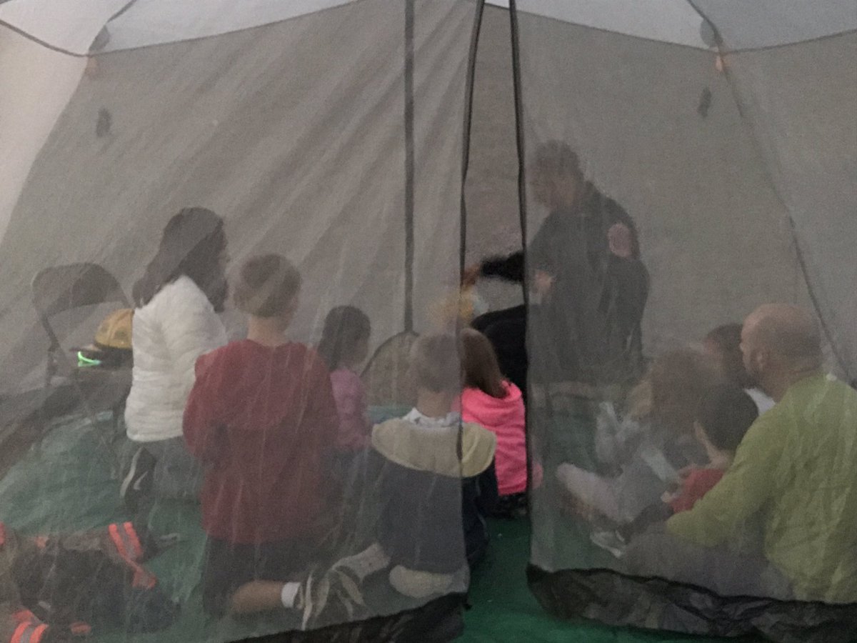 BrownSwan81's tweet photo. We had fun at Reading Under the Stars night! https://t.co/dKoeJqEq7V