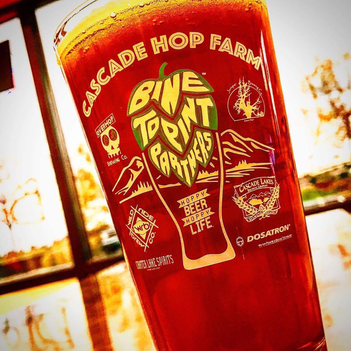 Copper hued with a blast of rye, gives way to citrusy flavors from  <a href="/cascadehopfarm/">Cascade Hop Farm</a> Fresh Centennial hops, finishes w/moderate malt notes