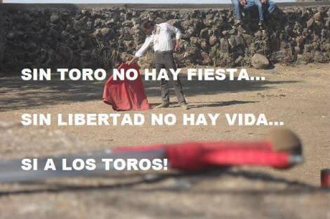 Pedrete63 tweet picture
