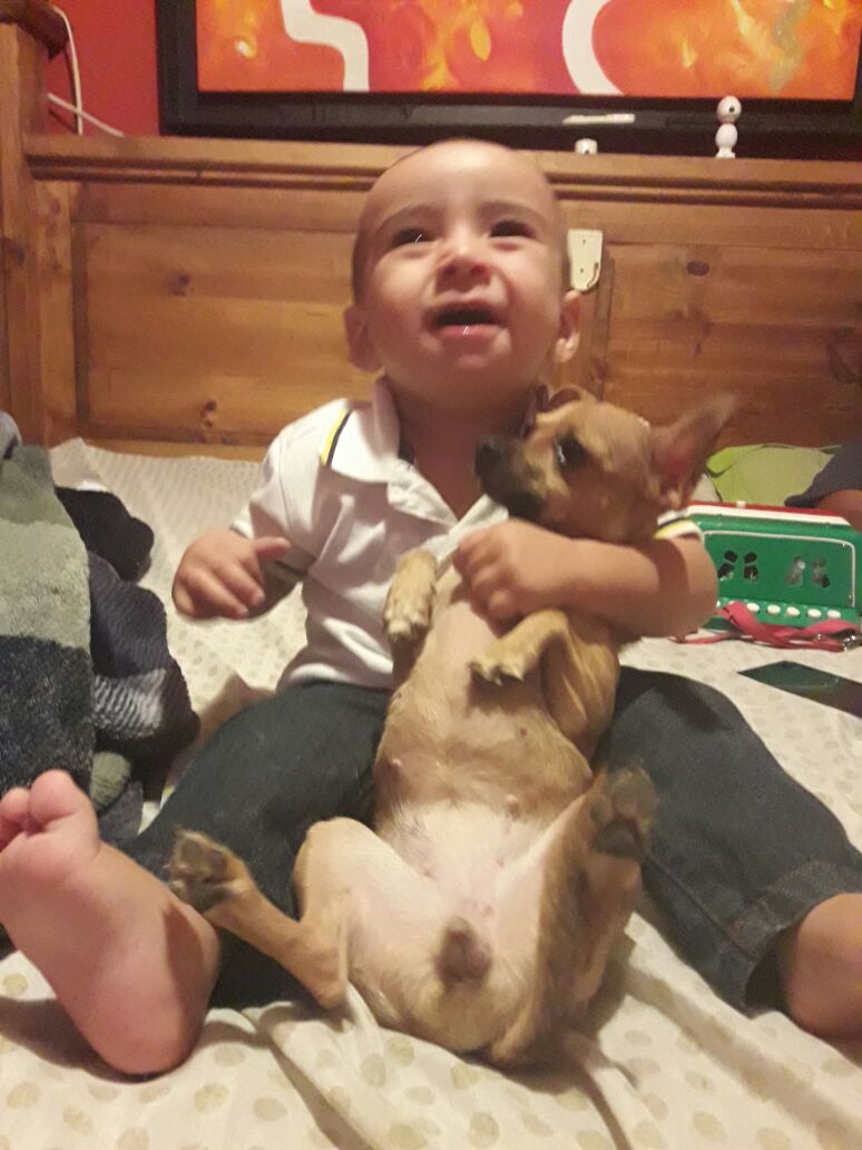 SheylagViera's tweet photo. El amor mas puro y bonito😍 #EmiNicky https://t.co/NJjLu7FpzI