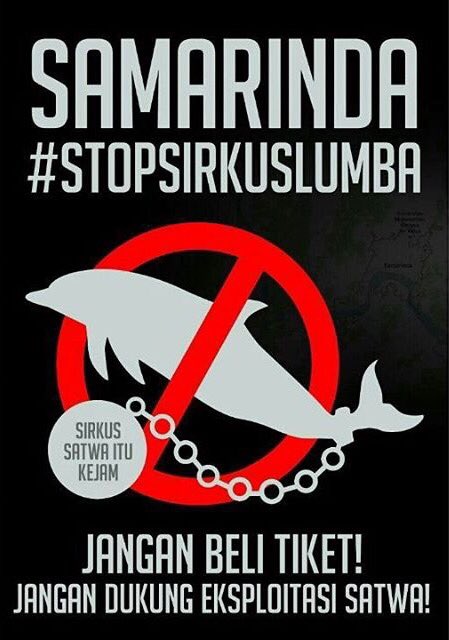 Sirkus satwa untuk edukasi itu Omong Kosong!!