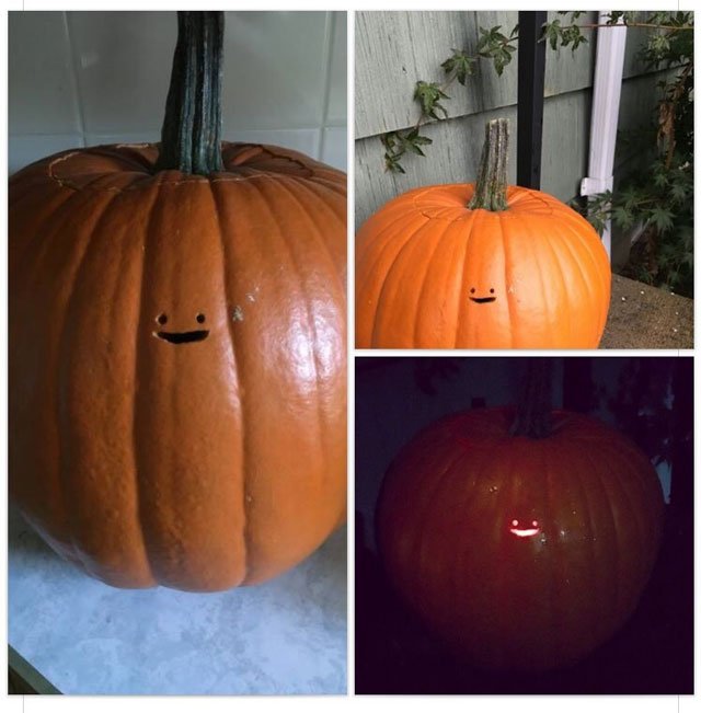 peeweeherman's tweet photo. Look at This Little Tiny Pumpkin Face! #JustLookatit https://t.co/tCtJkab39b https://t.co/WfPTrZWQda
