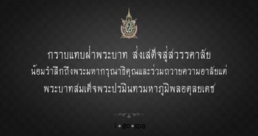 Spa Mellow (@spamellow) on Twitter photo 