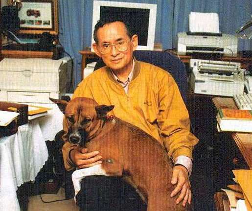 nchknot's tweet photo. ชอบความคิดเห็นนี้มากเลย 💛 #KingBhumibol https://t.co/KpVw6qVr7h