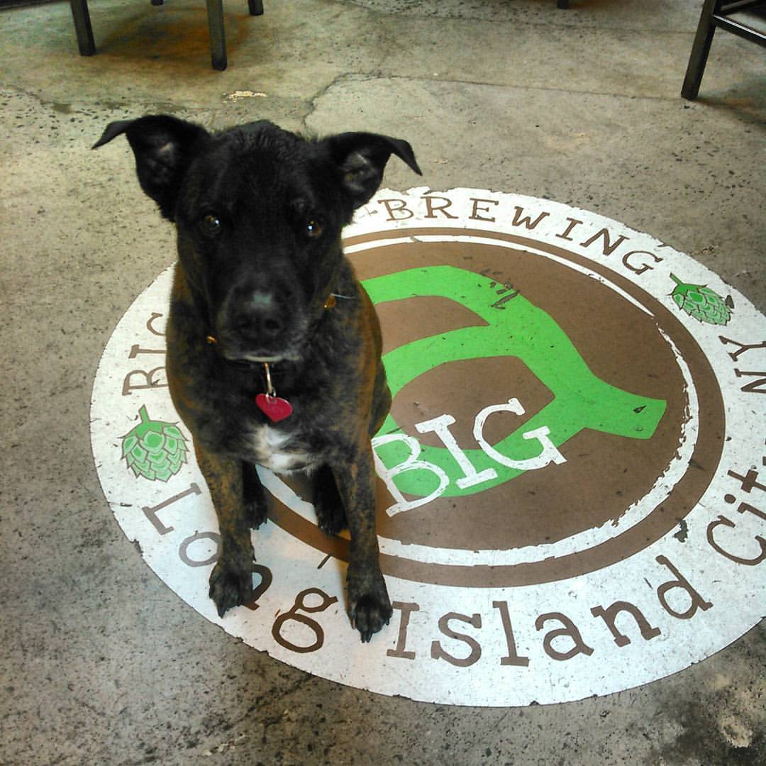 stufdtruck's tweet photo. @BigAliceBrewing, be there in 19 hours! #bringyourdogs! #getstufd, #comehungry. #beercoma? NOM https://t.co/ZHF1UKGUDZ