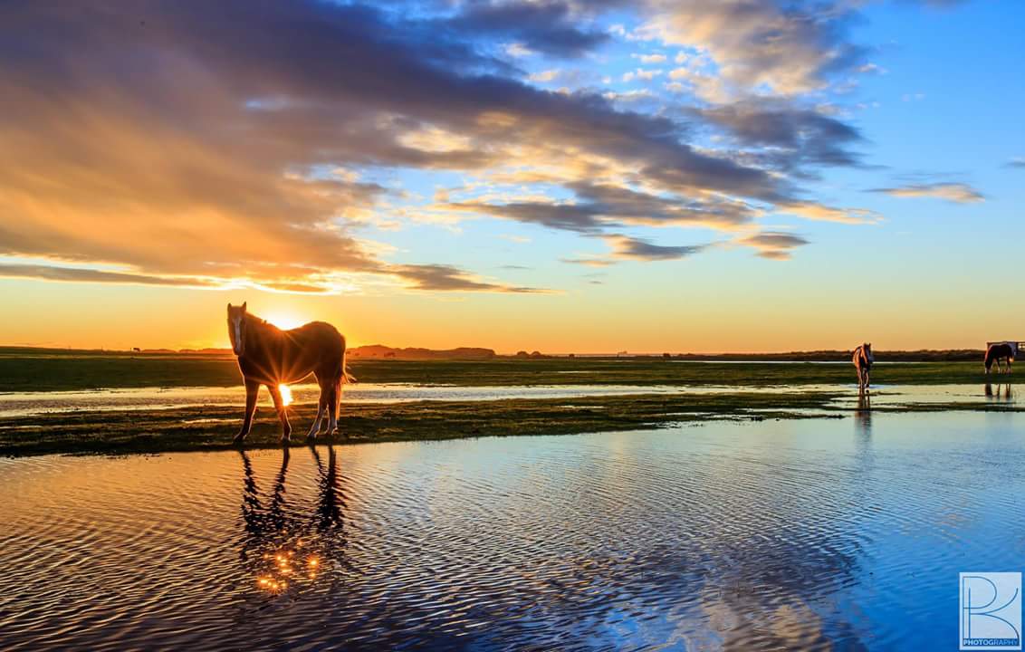 greg_faull's tweet photo. A beautiful sunset over the flooded paddocks at Moorlands Beach, East Devonport, by Patrick Reid #Tasmania https://t.co/SBIXsz8brj