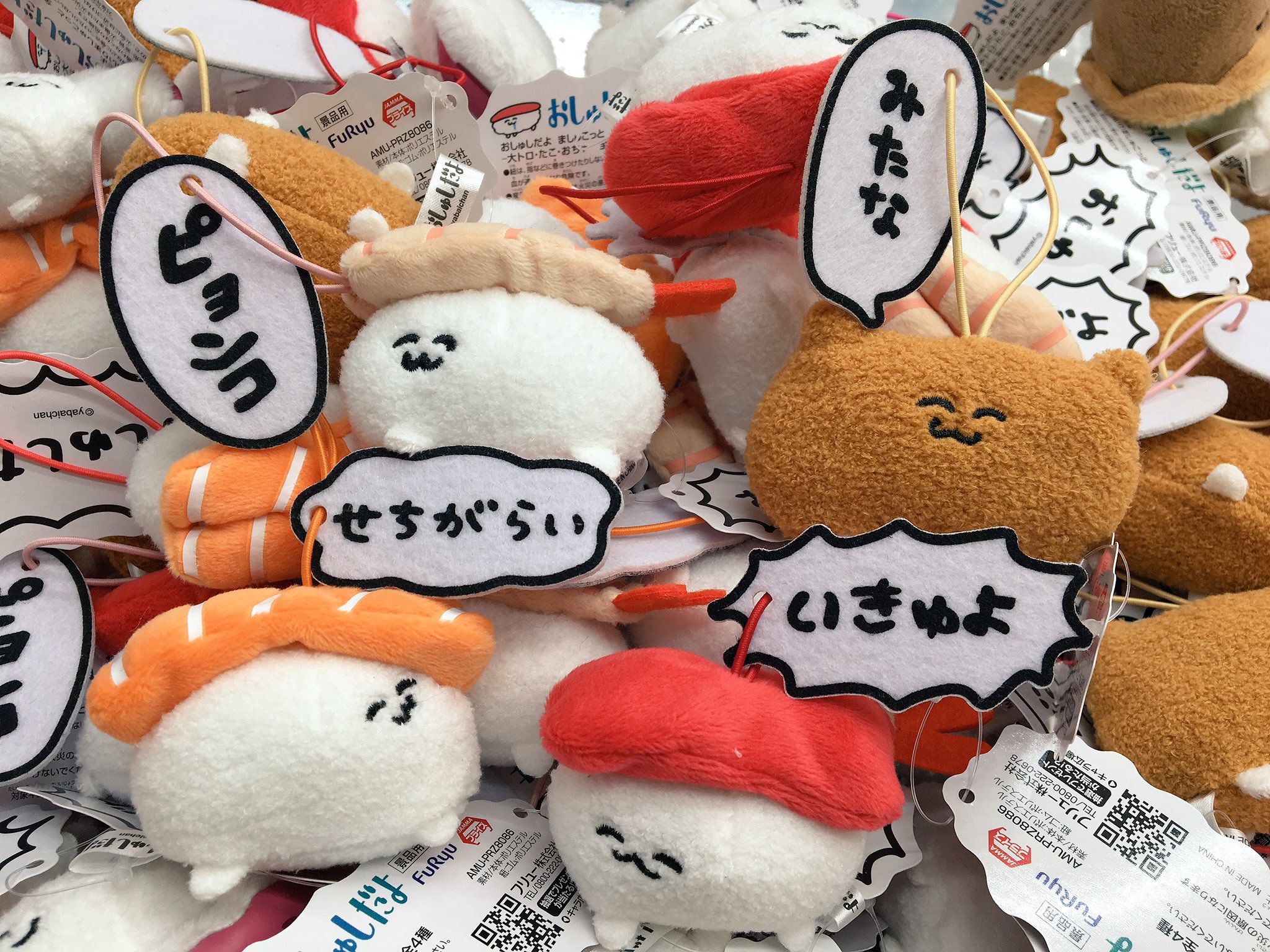 おしゅしだよ ましゅこっと Www Sieca Int