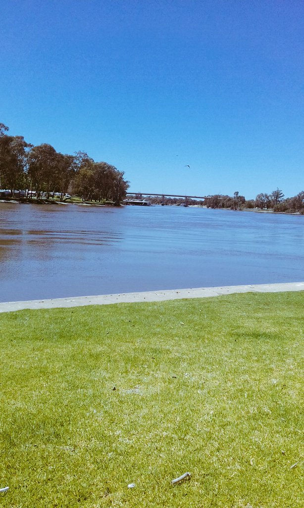 ErinFraser13's tweet photo. #friday #mildura #beautiful https://t.co/fcq4BQjn8j