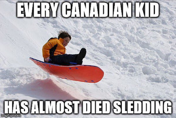 Proud Canadian tweet media