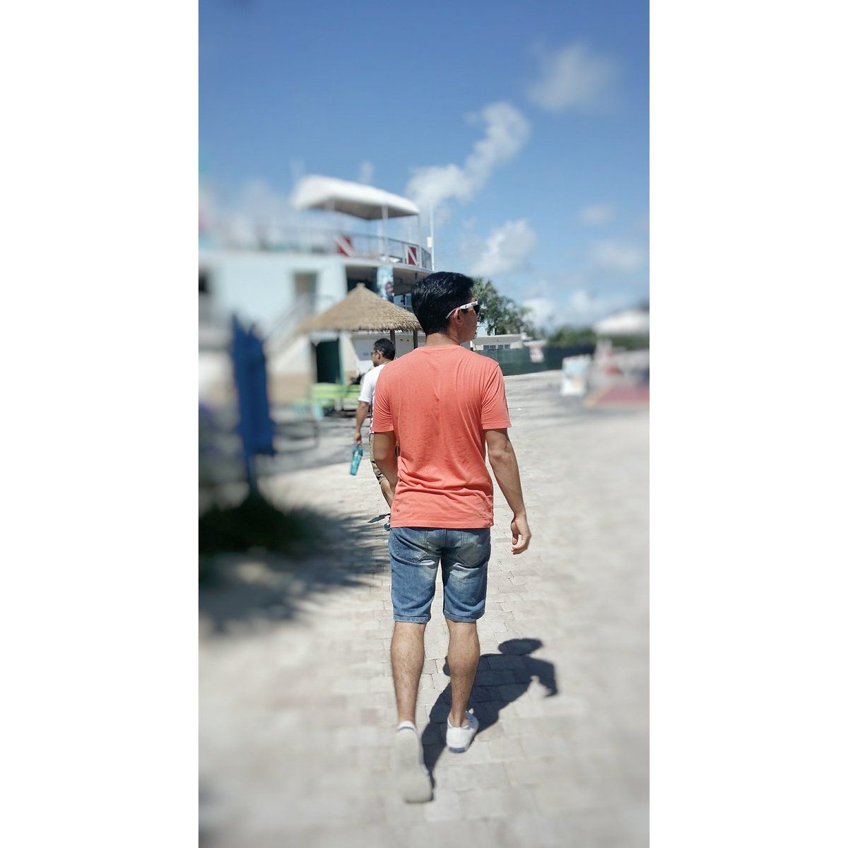 willialbert tweet picture