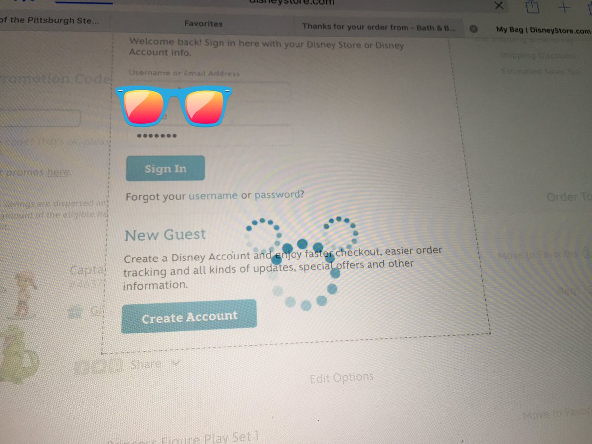 Steelerpent's tweet photo. @DisneyStore seems like every time we try to order something it never goes through #notverymagical https://t.co/xWMaan2SVL