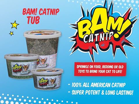 BAM_Catnip's tweet image. What are your favourite ways to use catnip? Ours are to sprinkle it over food or rub on scratching posts!