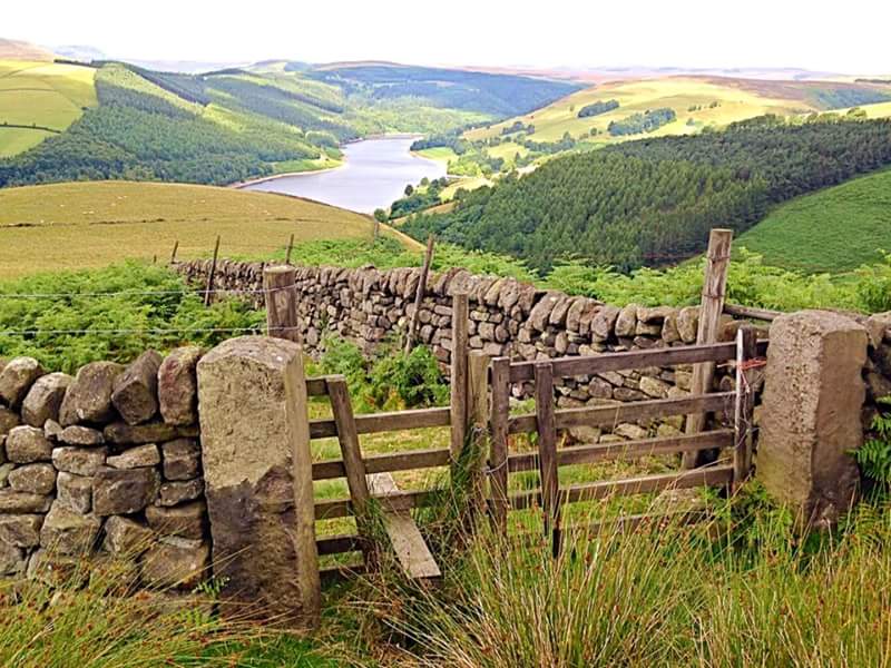 Derwent Reservoir