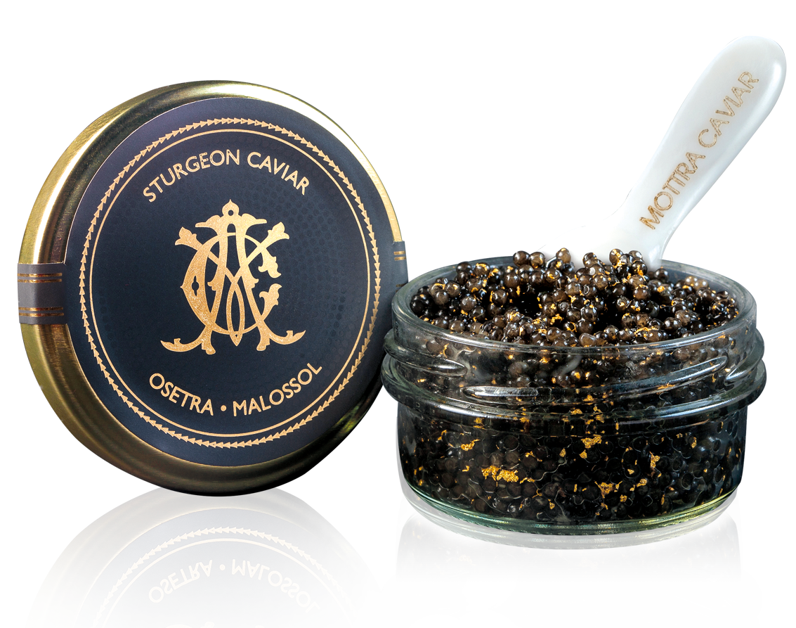 caviarmottra's tweet photo. Gold Caviar
Best quality caviar pure gold flakes of 9999 purity. #caviar #food
https://t.co/e0ONiRsKXn https://t.co/8QNBl0km4R