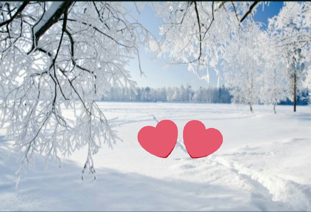 Gustavo4580's tweet photo. В Алмате сегодня снег выпал. Это конечно немного колышет в начале октября,зато так круто. Я его так ��дала! https://t.co/hwg18eaPrr