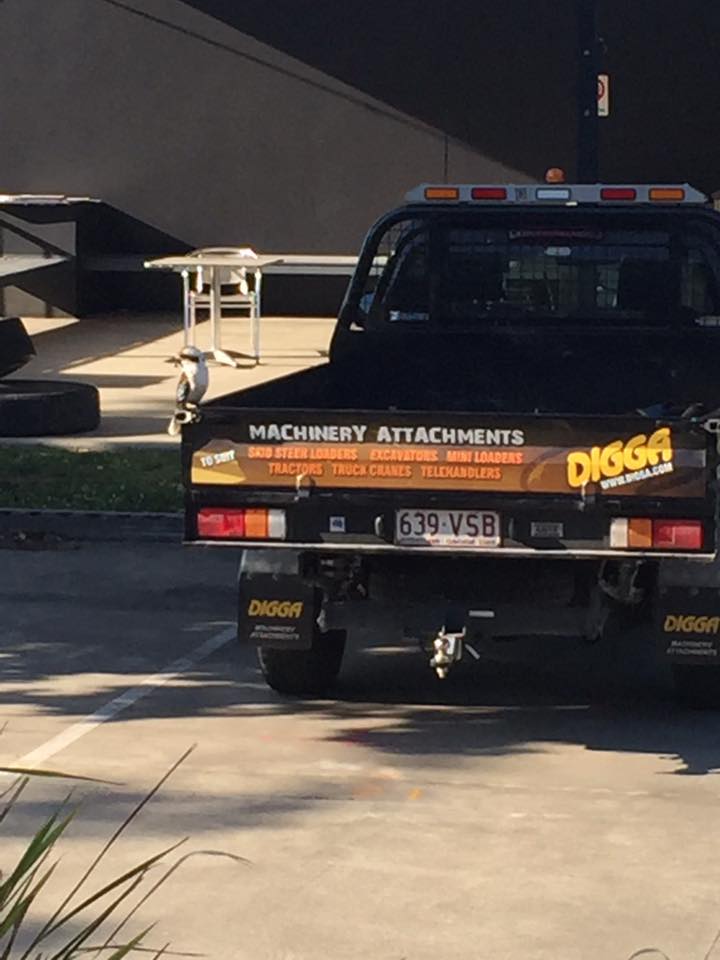 DiggaAustralia's tweet photo. Only in Australia! 💗 #straya
#Digga #Earthmoving #Australian #Construction #Farming #Drilling #Trenching #Augerdrive
https://t.co/FNwFjyJ6St https://t.co/SsnWVZ0JGR