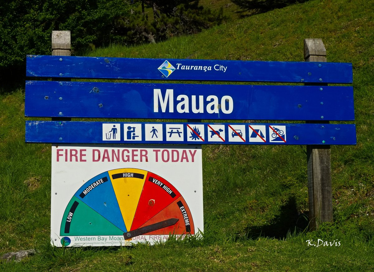 KDPhotography11's tweet photo. #fridayfunphoto When you decide to go for a walk on a VERY hot day in NZ and see this, Opps Might not have been the best day! HAPPY WEEKEND! https://t.co/N9oyM394W1