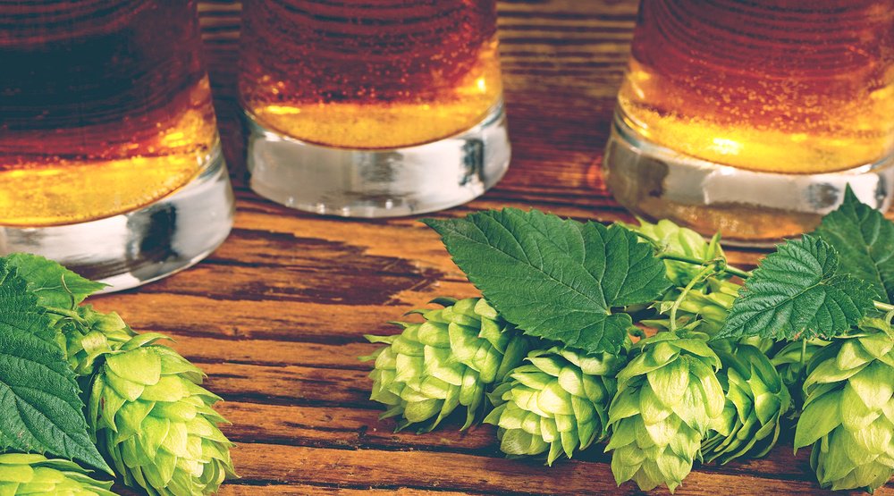 DailyHiveVan's tweet photo. 5 things you need to know about wet-hopped beer https://t.co/pn0ewQnuLw #dhvanfood https://t.co/sdtjWKJgi2