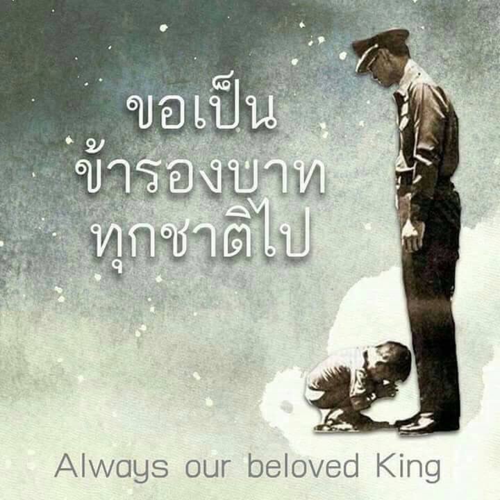 สภ.หนองบ่อ (@paknumtraffic) on Twitter photo 