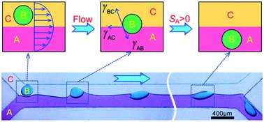 Spontaneous transfer of droplets across microfluidic laminar interfaces rsc.li/2dqbdp5